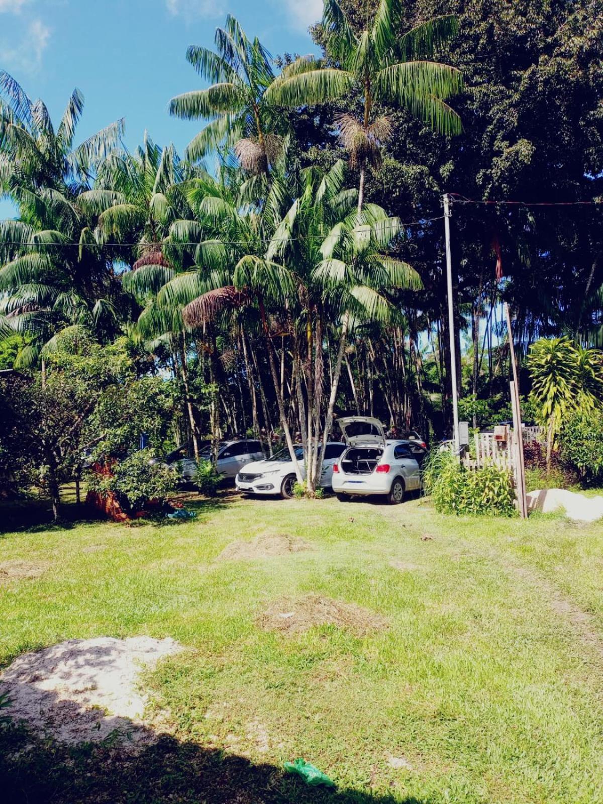 Eco Sitio O Labirinto Do Fauno Hotel Mosqueiro  Buitenkant foto