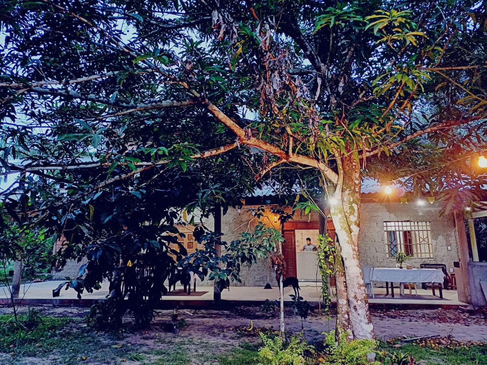 Eco Sitio O Labirinto Do Fauno Hotel Mosqueiro  Buitenkant foto