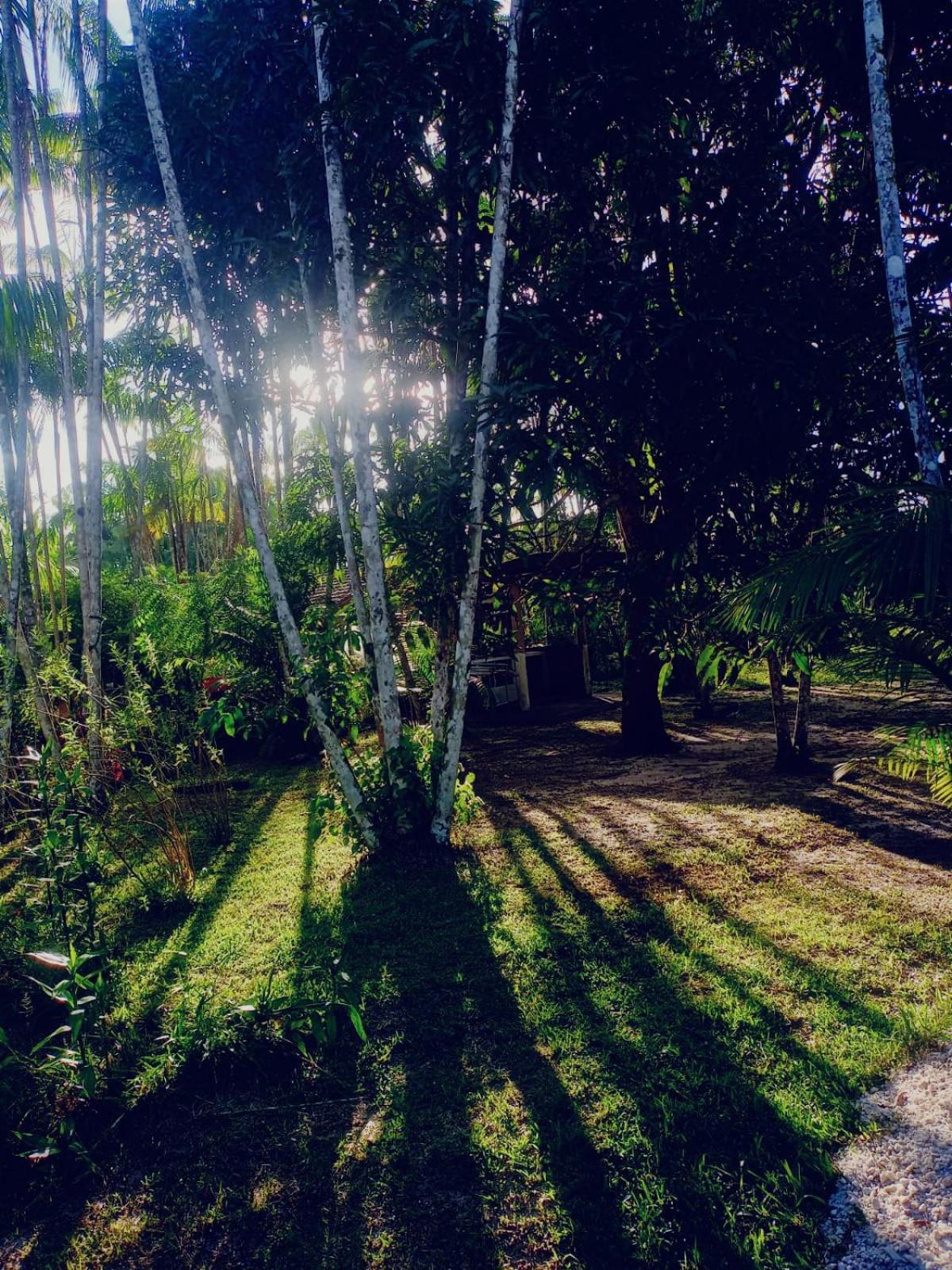 Eco Sitio O Labirinto Do Fauno Hotel Mosqueiro  Buitenkant foto